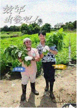 奔跑吧兄弟晚秋影院综艺